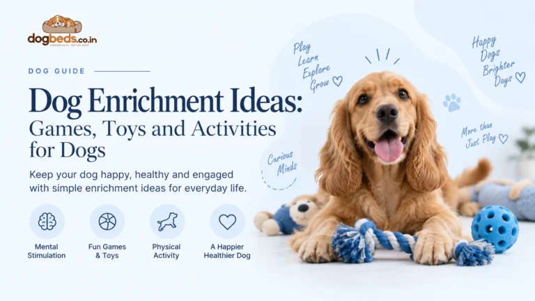 Dog Enrichment