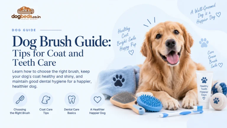 Dog Brush Guide